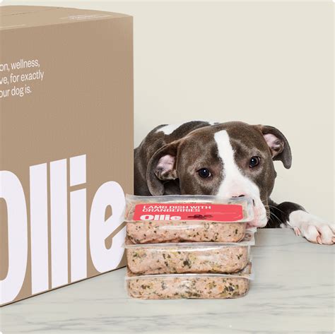 Ollie food - Dog owners understand the importance of providing their furry friends with the best nutrition. Ollie Dog Food is a popular choice among pet owners who want to ensure their dogs rec...
